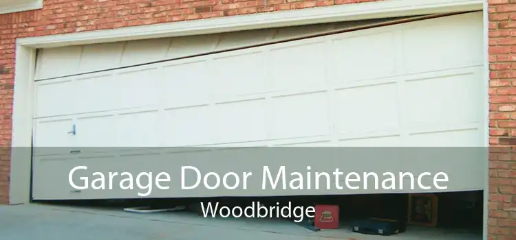 Garage Door Maintenance Woodbridge