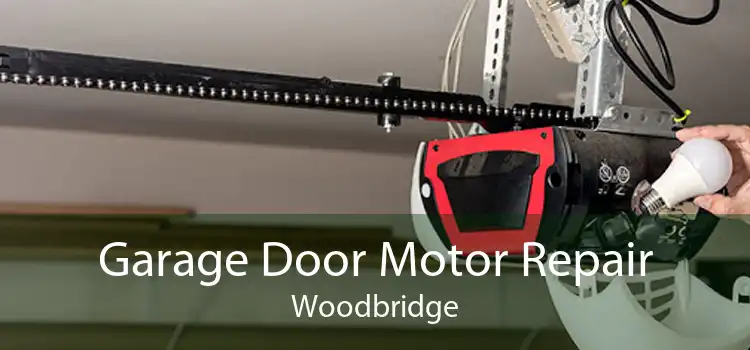 Garage Door Motor Repair Woodbridge