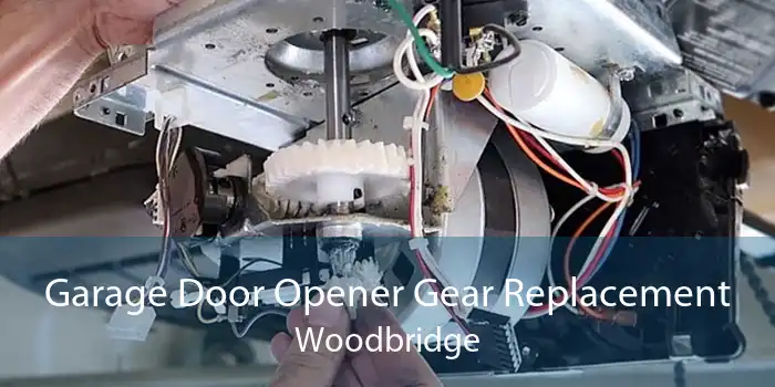 Garage Door Opener Gear Replacement Woodbridge