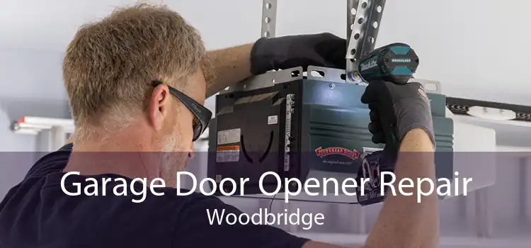 Garage Door Opener Repair Woodbridge