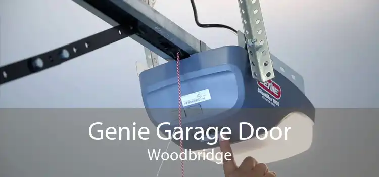 Genie Garage Door Woodbridge