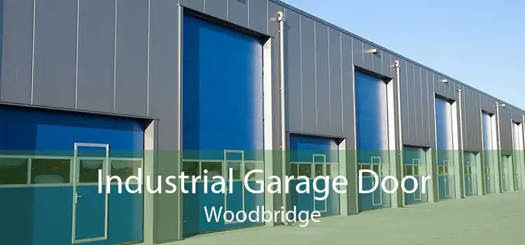 Industrial Garage Door Woodbridge