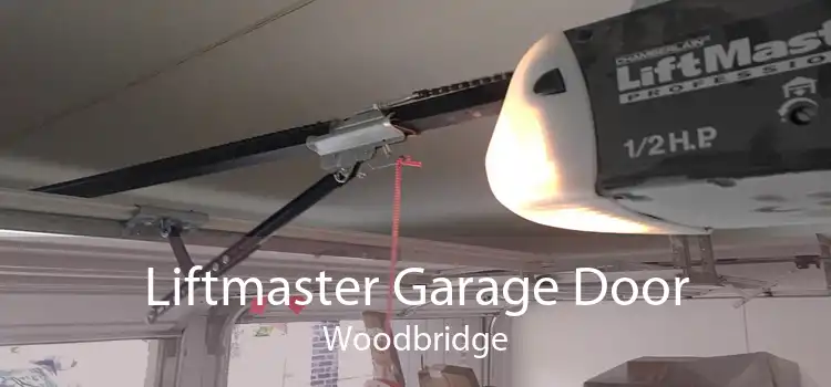 Liftmaster Garage Door Woodbridge