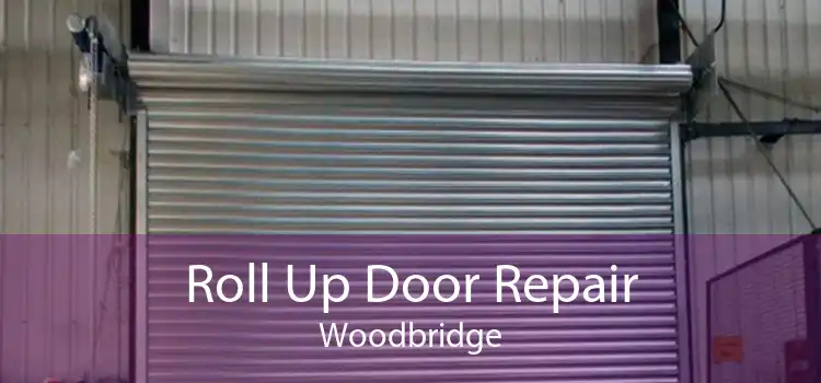 Roll Up Door Repair Woodbridge